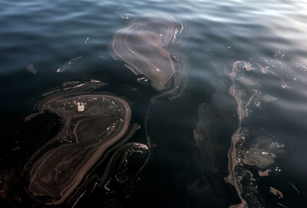 İstanbul’da müsilaj yeniden görüldü - 6