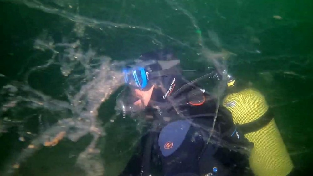 tzwofnCwLUm7ufeKAPs3ig