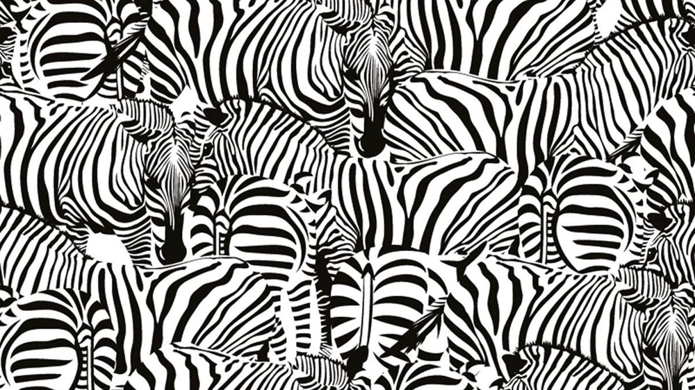 Bu görsel size kim olduğunuzu söylüyor: Resimde ilk önce hangi hayvanı gördünüz? - 14