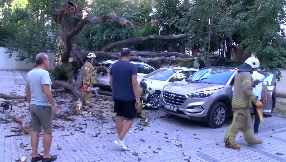 Kadıköy'de aracın üstüne devrilen ağaç 51 daireyi icralık etti Kadıköy'de aracın üstüne devrilen ağaç 51 daireyi icralık etti