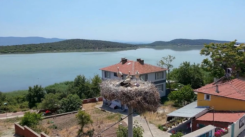 Yaren leylek yavrularından ayrıldı: Biri Mısır'da biri Batı Şeria'da - 5