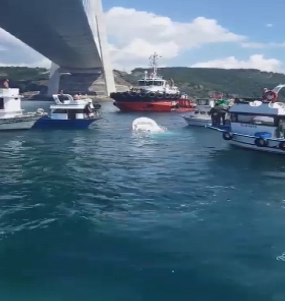 İstanbul'da gemi balıkçı teknesine çarptı: 2 ölü - 1