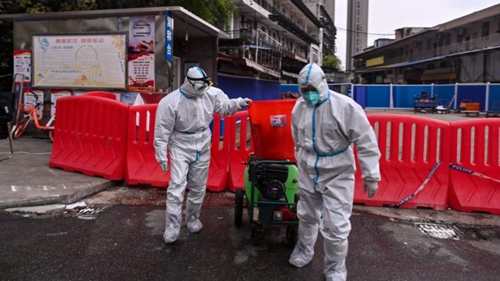 Yeni pandemi kapıda: Çin’de hayvanlardan insanlara bulaşabilecek 18 tehlikeli virüs bulundu - 7