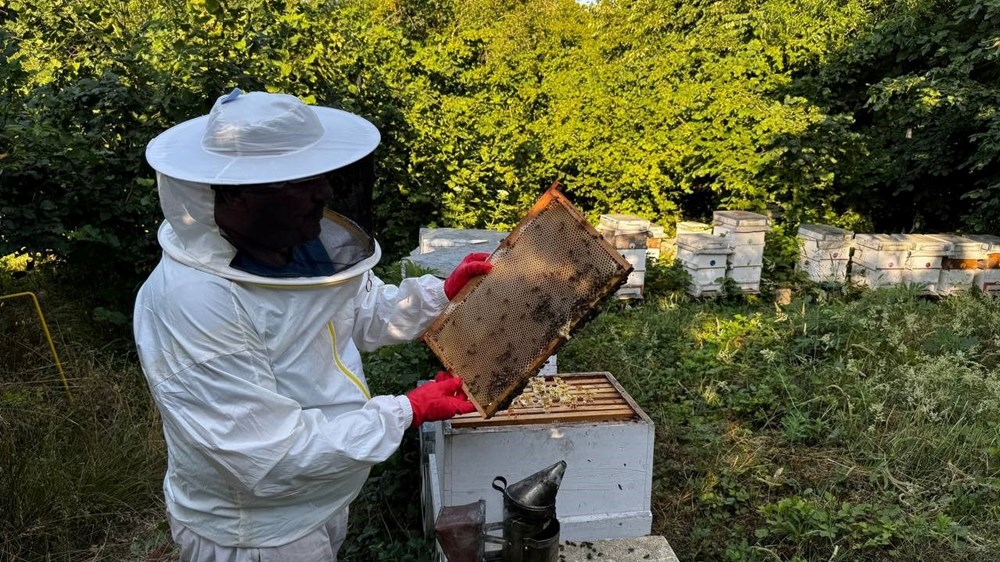 Dedesinin nasihatiyle başladı, geçim kaynağı oldu: 1 ton üretmeyi hedefliyor - 2