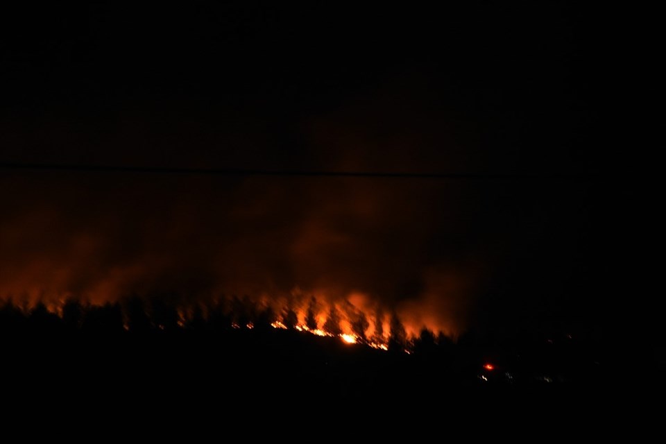 Muğla’nın Kavaklıdere ve Menteşe ilçelerinde orman yangını - 1