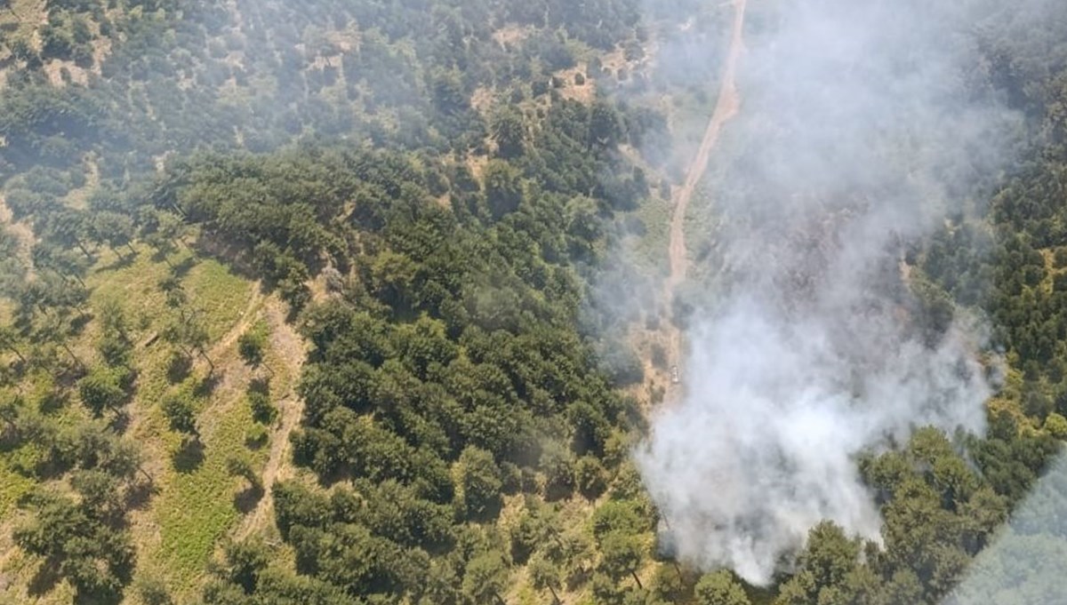 Balıkesir ve Adana'da orman yangını