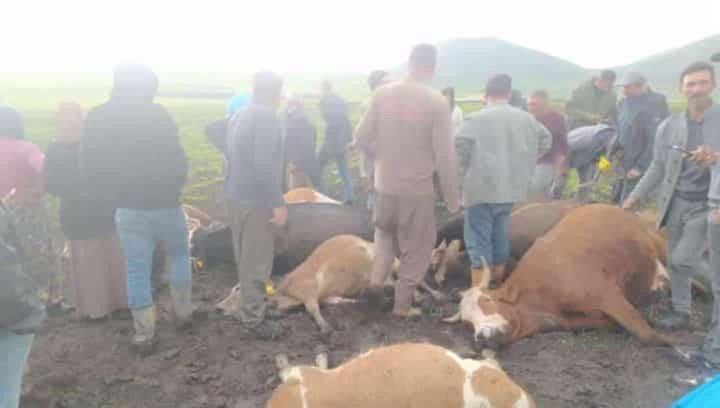 Sürünün üzerine yıldırım düştü