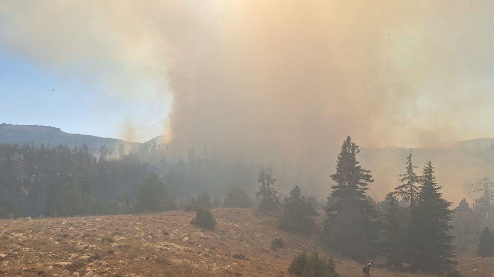 Kocaeli, Karaman, Afyonkarahisar ve Diyarbakır'da orman yangını - 8