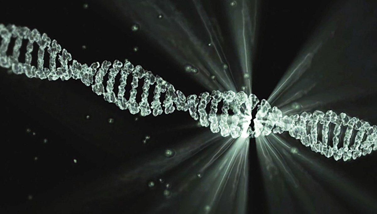 İnsan genomunda hayalet kod bulundu