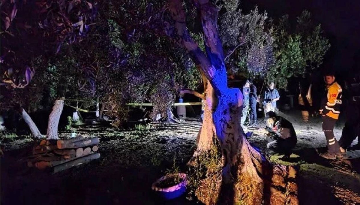 Baltalı vahşete bir tutuklama