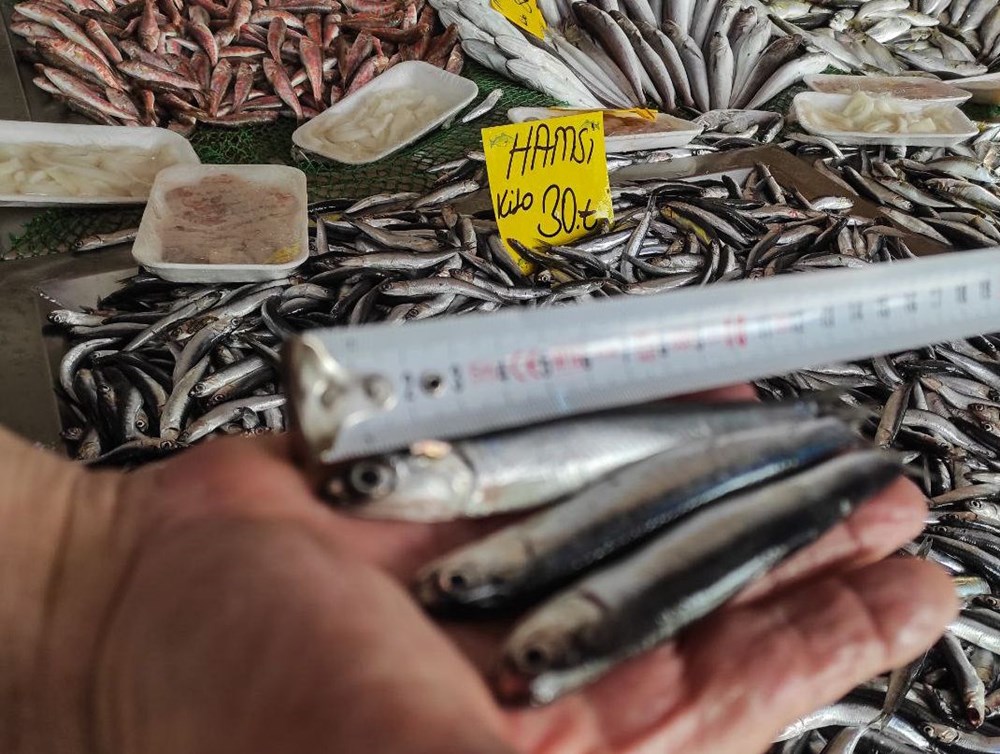 Yasak sonrası hamside ilk fiyatlar - 2