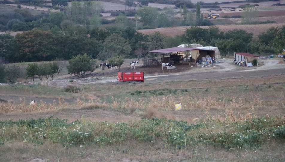 Edirne’de kırmızı alarm: 8 köyde ‘mavi dil’ karantinası başlatıldı