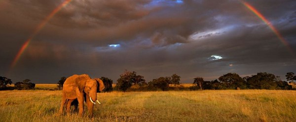 Gezegenimiz (Our Planet) belgeselinin uzun fragmanı ilk kez ntv.com.tr'de