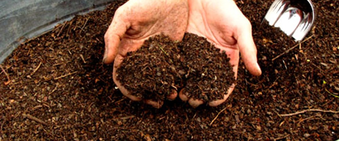 Навоз для цветов. Конский навоз в мешках. Перепревший конский навоз. Навоз для цветов. Компост для куриного помета.