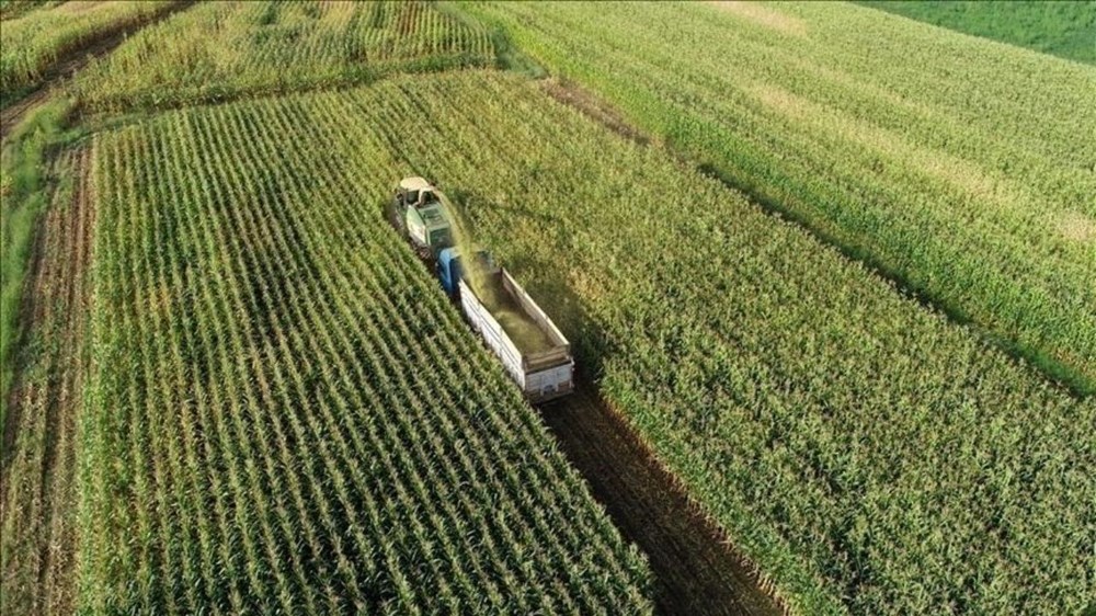 2025 Mart Ayı Mazot ve Gübre Desteği: Ödemeler Gerçekleşti mi? 72 uCaFVYJ44ky8JkDK 8 5wA