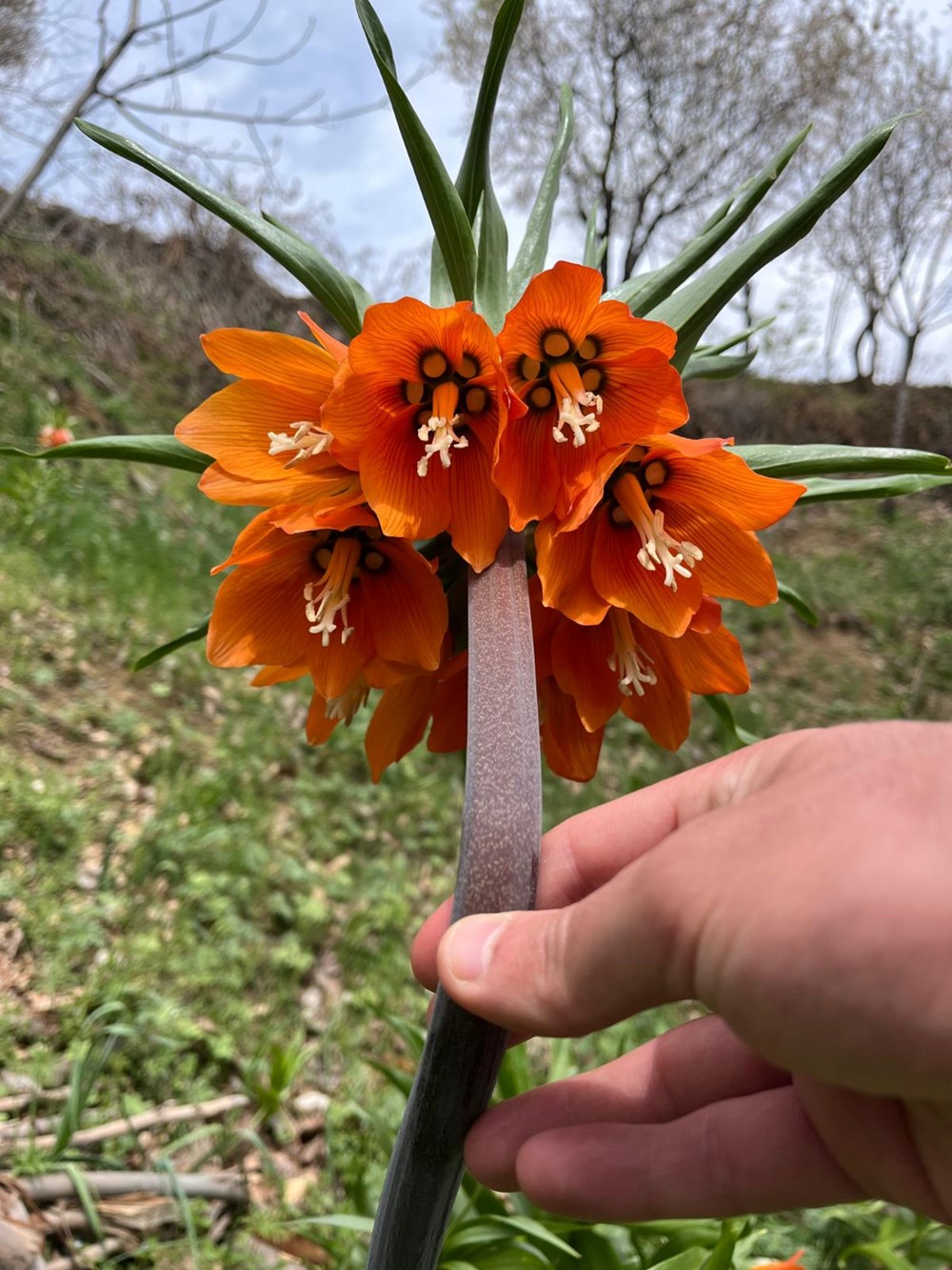 Ağlayan Gelin'in Gözyaşları: Koparana Servet Değerinde Ceza! 75