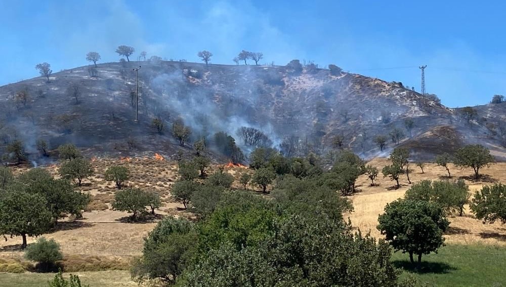 Çanakkale'de makilik alanda yangın