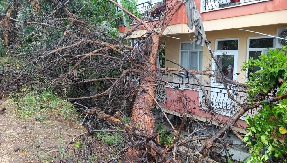Yağmura daha fazla dayanamadı, binanın üzerine devrildi