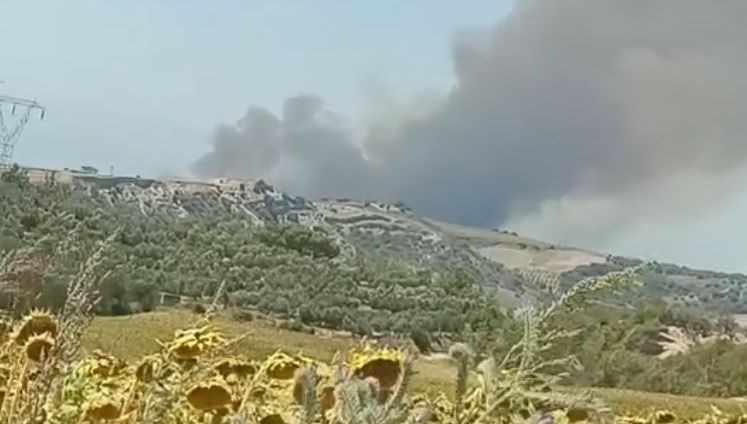Adana'da orman yangını