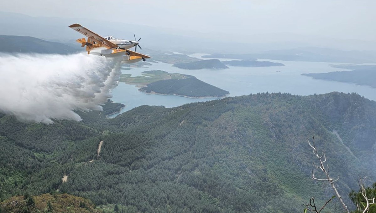 Samsun'da yıldırım isabet etmesi sonucu ağaçlık alanda yangın çıktı