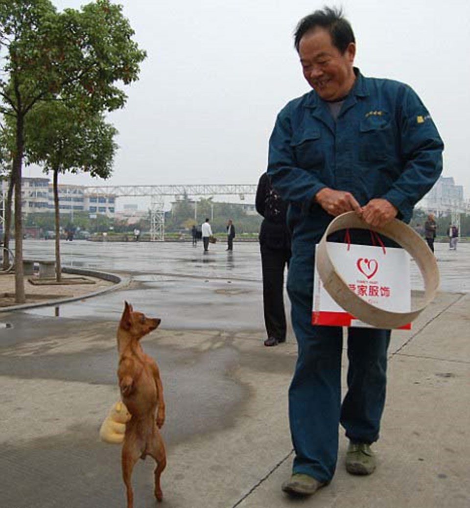 Patisinde çantasıyla yürüyen köpek - 1