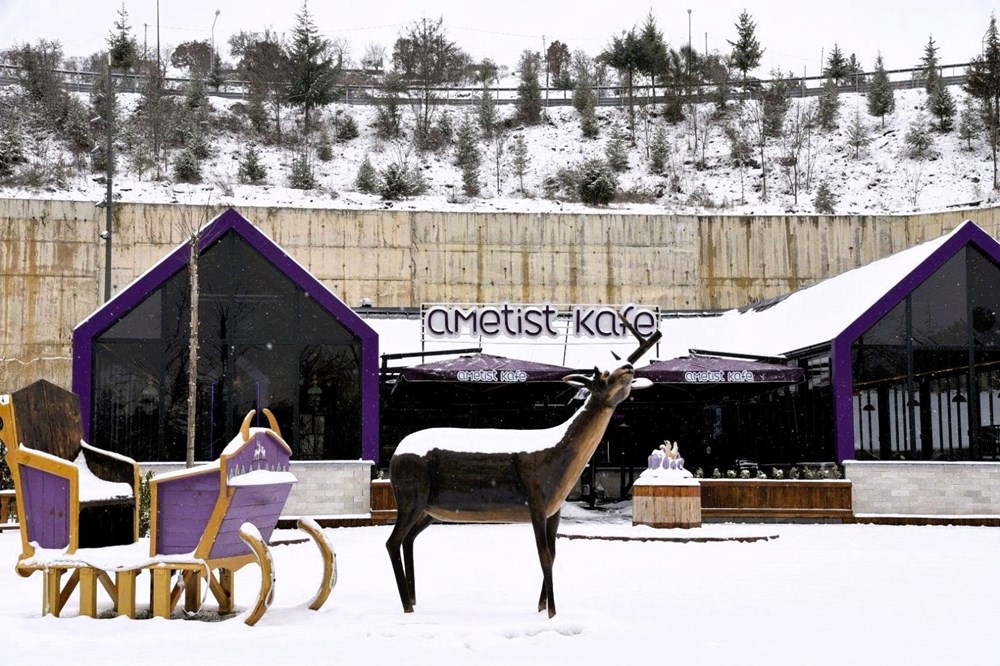 Bir ilçe beyaza büründü: "Okullar Tatil" mesajı paylaşıldı - 5