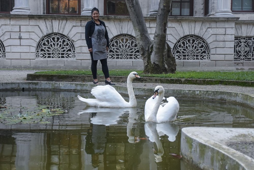 Meksikalı sanatçı Sofia Chavez'in Dolmabahçe Sarayı'na uzanan sanat yolculuğu - 6