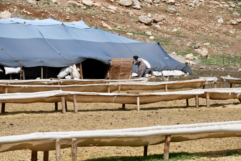 uISNHKTrCkuUAb89vJq7GA