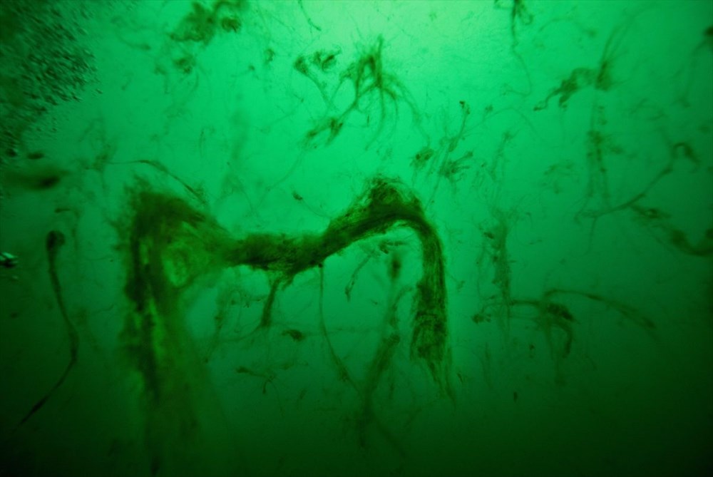 Türkiye’nin geleceğini tehdit eden deniz salyası ABD basınının gündeminde - 8