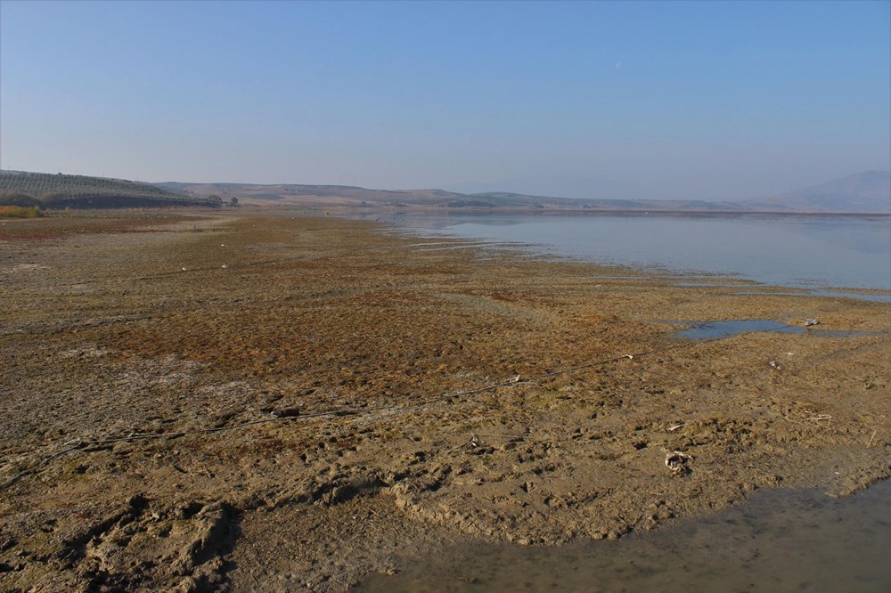 'Kuş cenneti' Marmara Gölü'nde derinlik 40 santimetreye düştü - 5