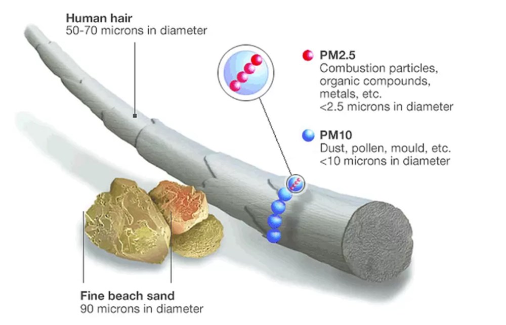 Devrim niteliğinde çalışma: Bilim insanları hava kirliliği ile kanser arasındaki bağlantıyı çözdü - 6