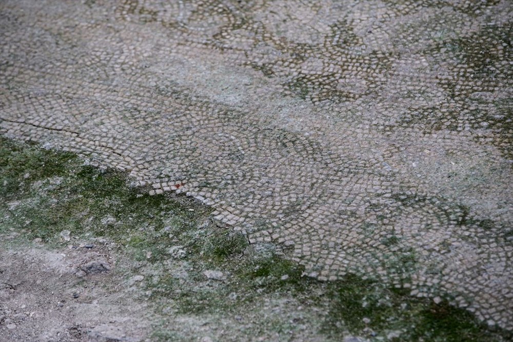 Tarihi mozaikler koruma altına alındı - 8