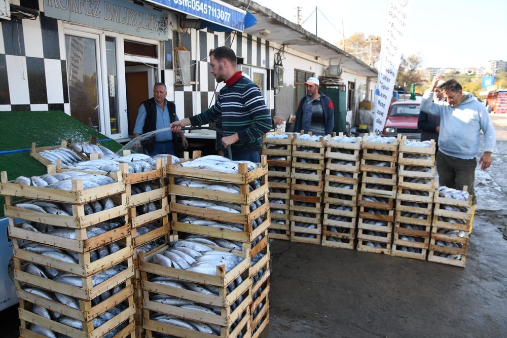 Palamut bolluğu yaşanan Karadeniz'de balıkçıların mayın endişesi - 3