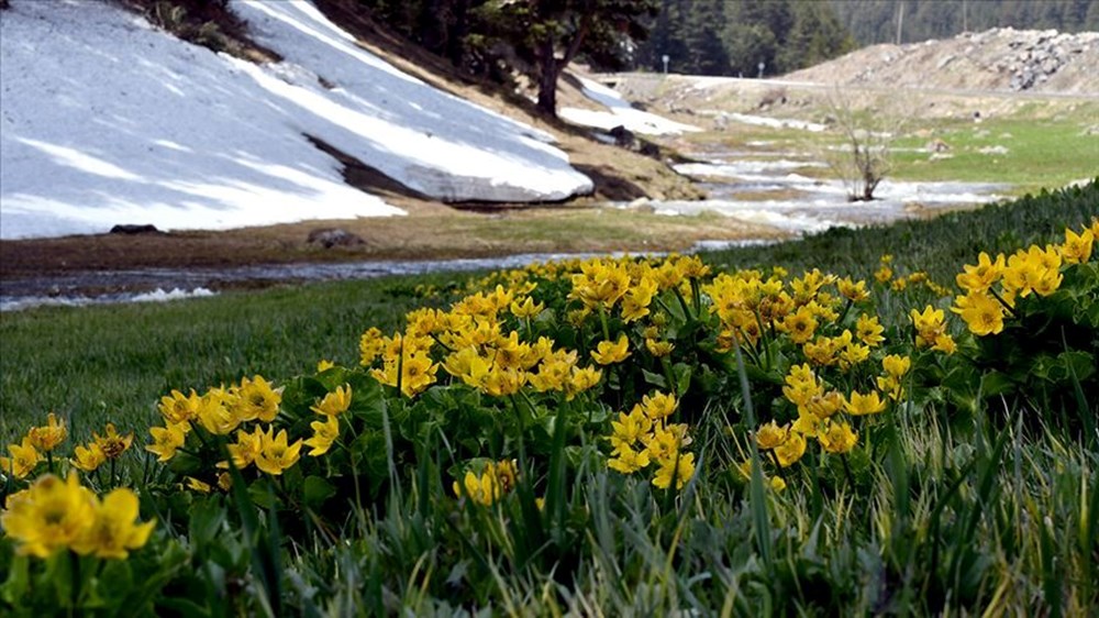 Nevruz Bayramı nedir, ne zaman, nasıl kutlanır? Nevruz ritüelleri - 3