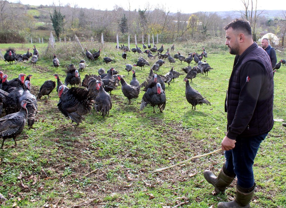 Yılbaşı hindileri bin liraya kadar çıkıyor - 6