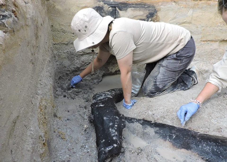 Arkeologlardan heyecanlandıran keşif: Dünyanın en eski ahşap yapısı olabilir - 1
