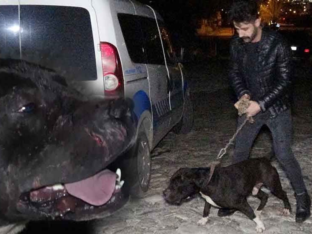 cinsel saldiri zanlisini carlos