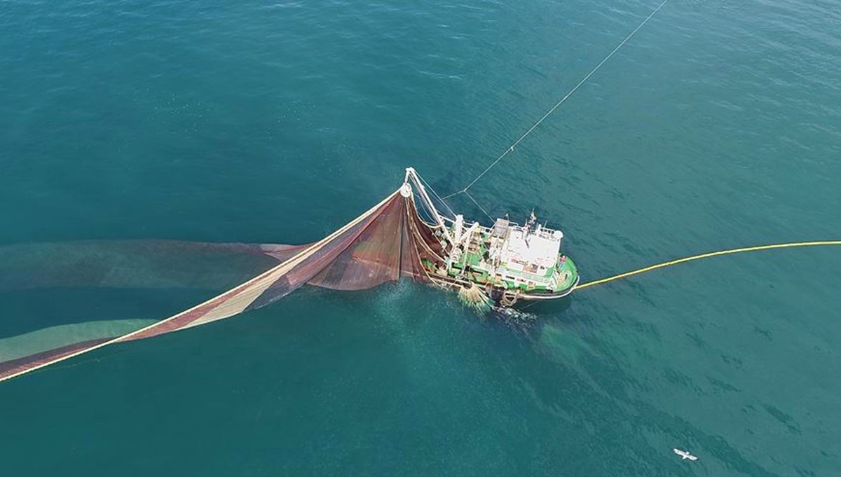 Karadeniz'in suyu soğumadı: Endüstriyel balıkçılığı olumsuz etkiliyor