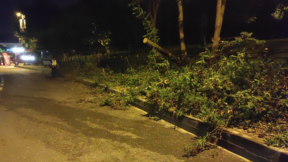 Üsküdar'da ağaç yola devrildi - 4