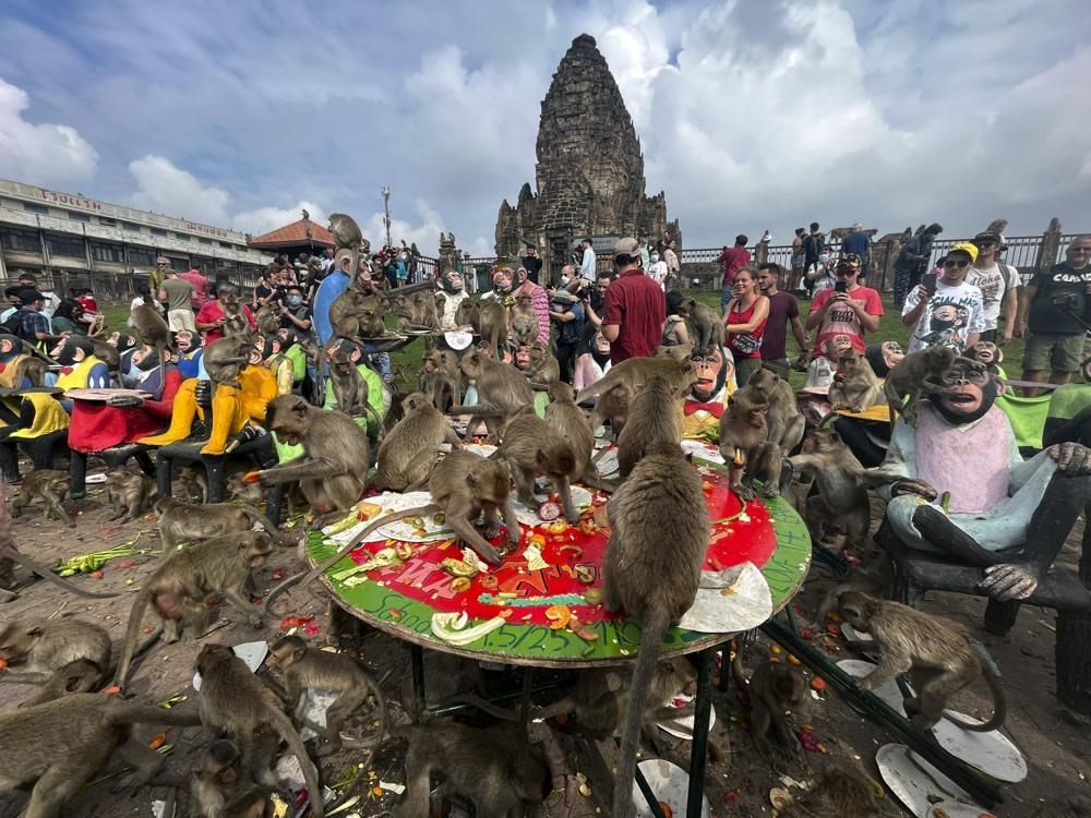 Tayland'da maymunlara açık büfe ziyafeti: Binlerce ton gıda saniyeler içinde bitti - 6