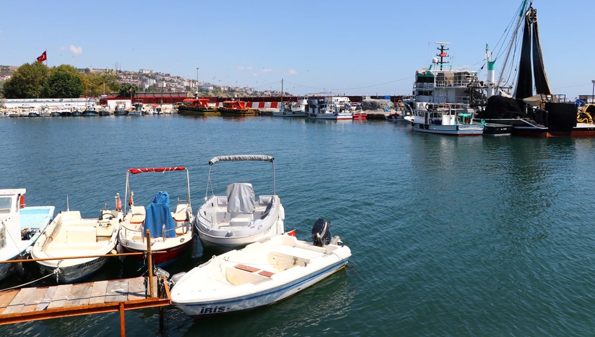 Av yasağı bitiyor: Denizlerde bu yıl palamut az, hamsi bol olacak