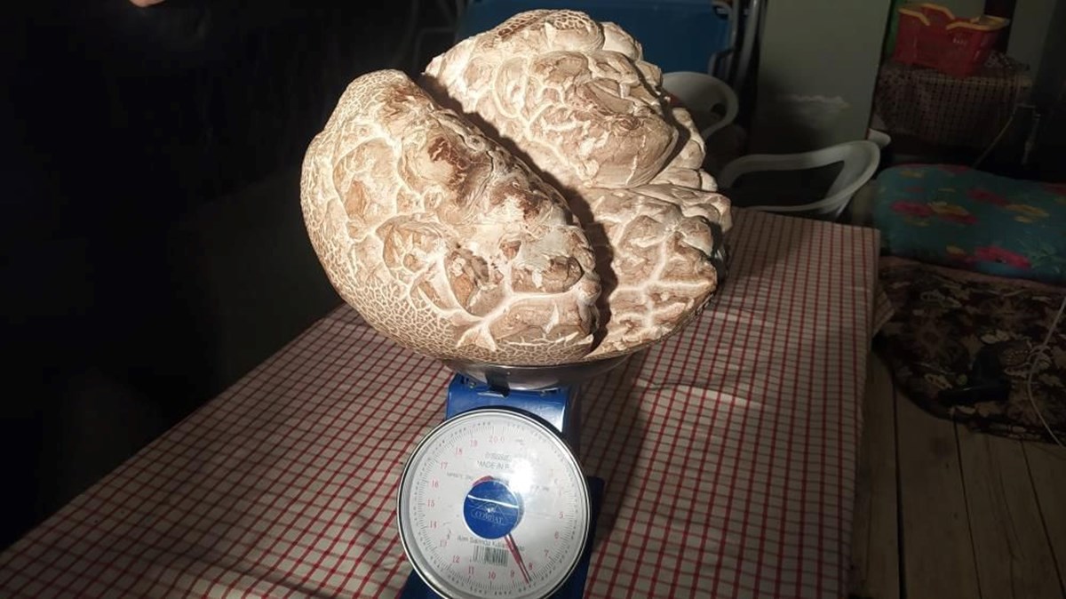 uTMpLSWuW02Ef0gTsgsAcA.jpg