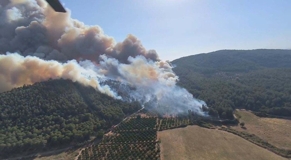 İzmir'in Selçuk ve Menderes ilçelerinde yangın: Ekiplerin müdahalesi sürüyor - 12