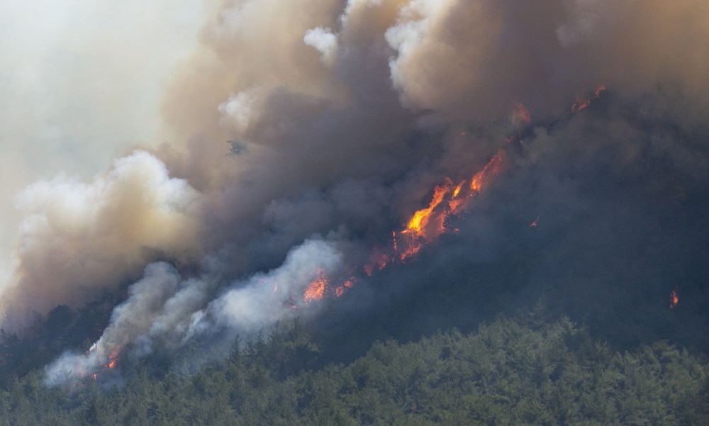 Türkiye güne yangınla başladı... 3 ilde orman yangını: Sıcaklıklar artıyor, iki güne dikkat! - 6