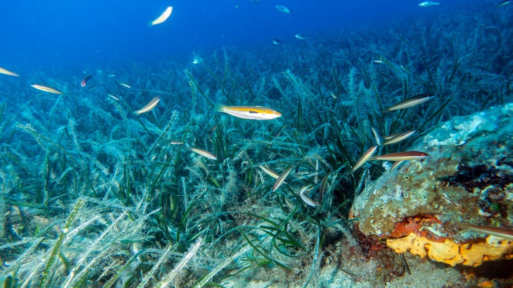 uTu8imIhfkyrruKdMp2kag