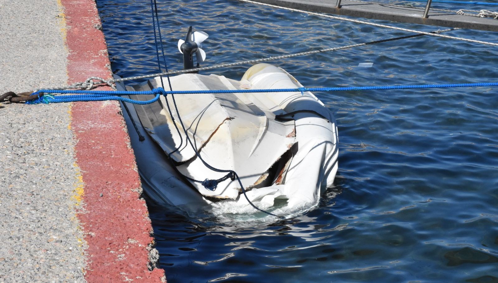 bodrum ev arkadaşı