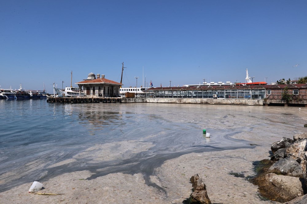 Marmara Denizi nasıl kurtulur? 3 aşamalı çözüm önerisi - 11