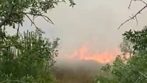 Safranbolu'da anız yangını