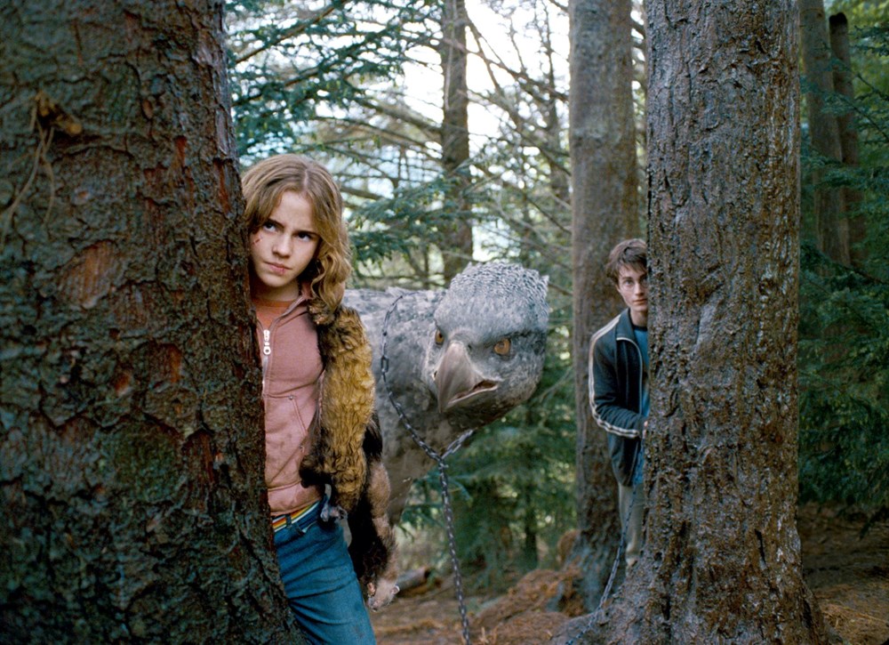 Serinin en iyisi kabul ediliyor: Harry Potter ve Azkaban Tutsağı'nın yönetmeni yıllar sonra itiraf etti - 4