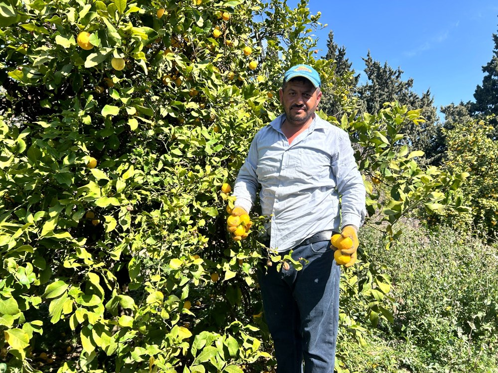 u 0LhzwIbUKsNlyDthXhOA